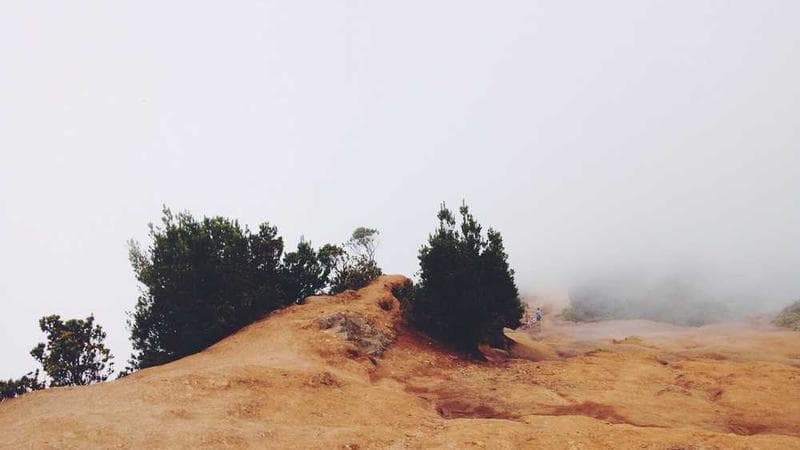 Noticia de Prueba #33